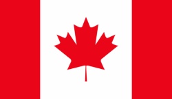 flag-icon