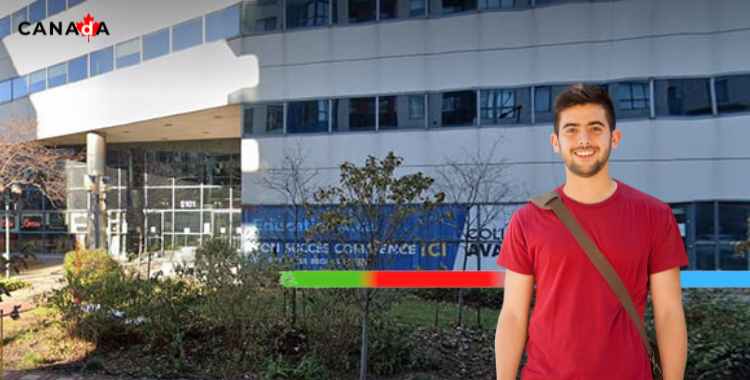 AVALON COLLEGE