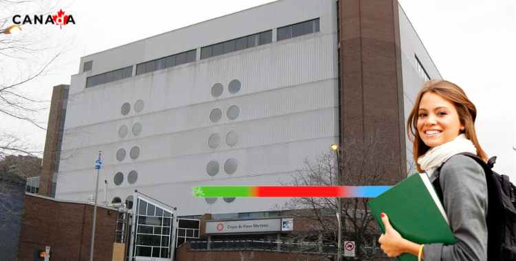 TREBAS INSTITUTE