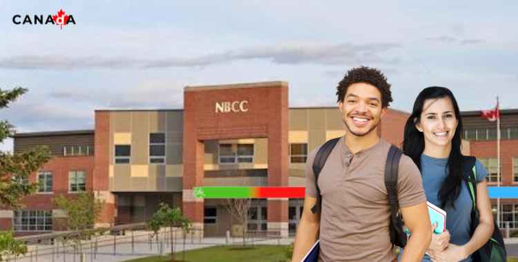 COLLEGES IN NEW BRUNSWICK